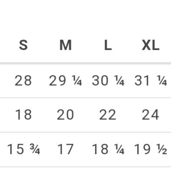 Cheetah Soul Searching - Bleached Tee - Picture 2 of 2